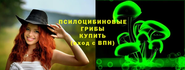 стаф Алексин