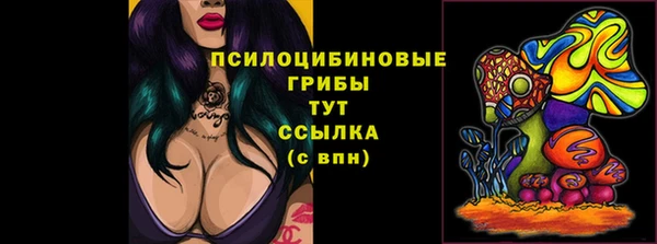 стаф Алексин