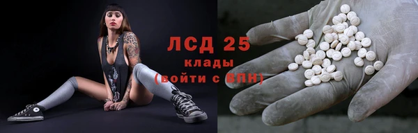 стаф Алексин