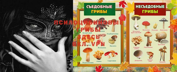стаф Алексин