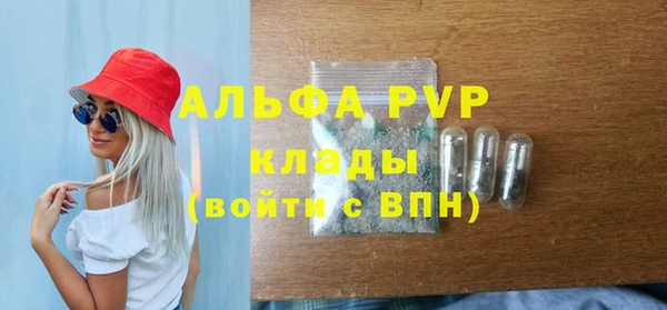 стаф Алексин