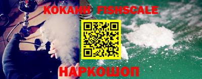индика Рузаевка