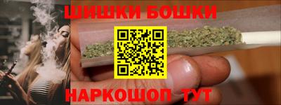 индика Рузаевка